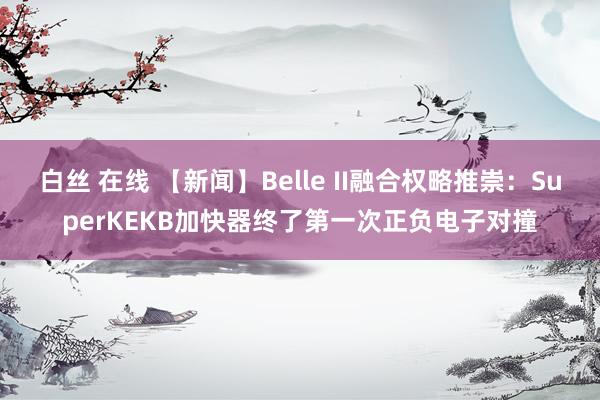 白丝 在线 【新闻】Belle II融合权略推崇：SuperKEKB加快器终了第一次正负电子对撞